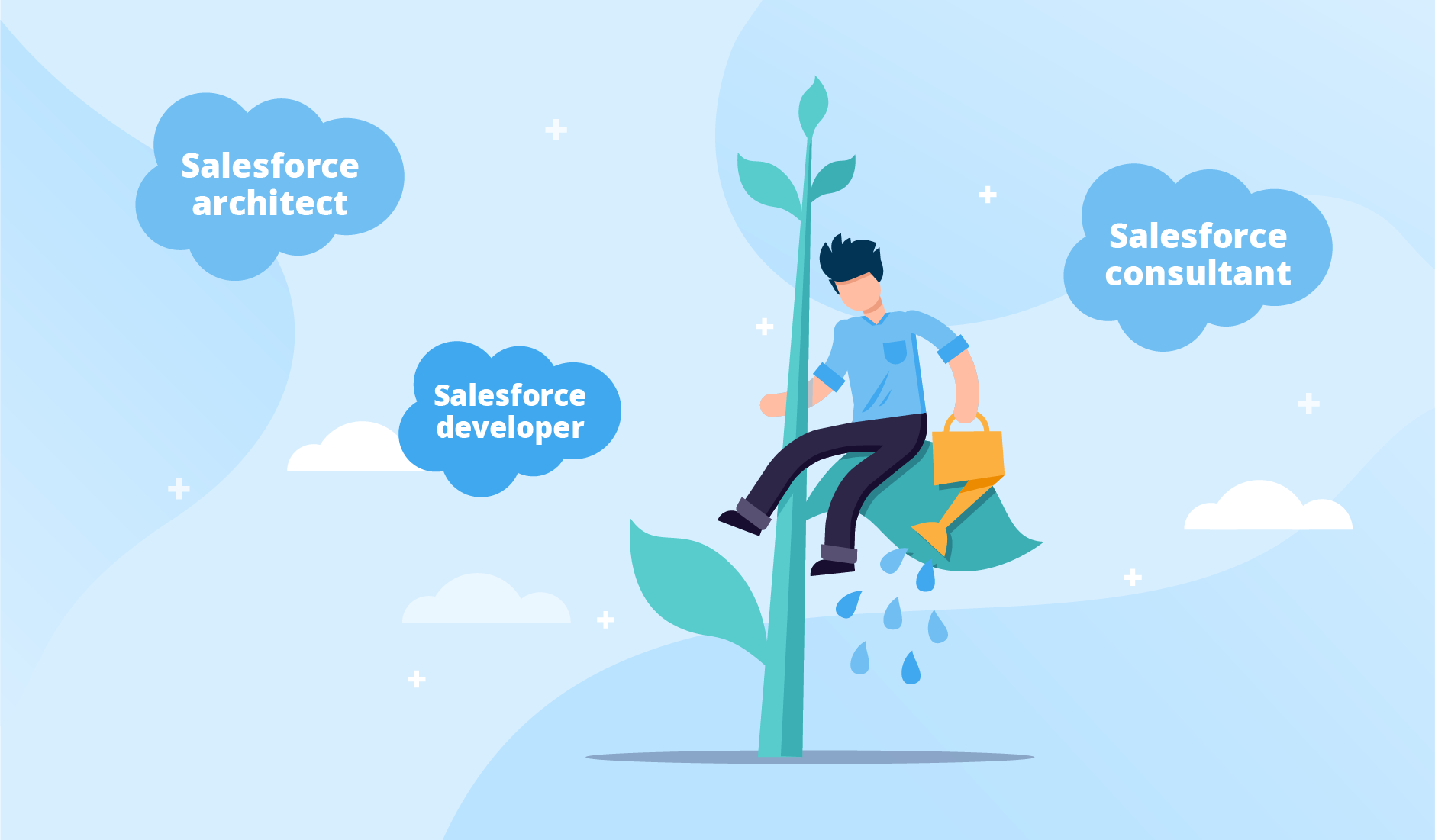 Salesforce Services
